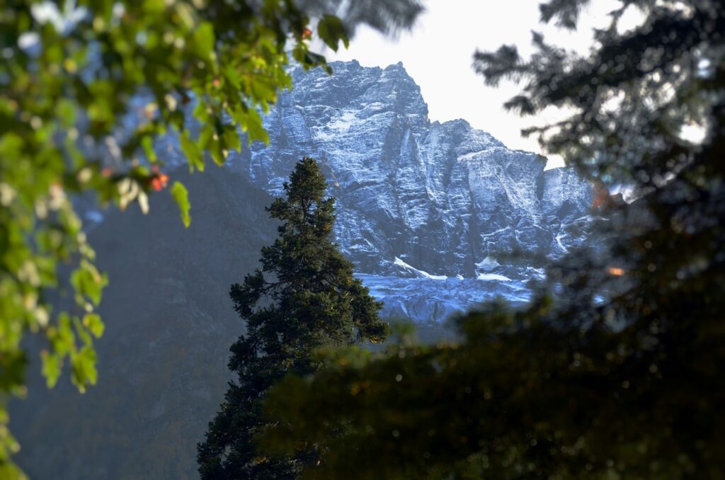 a view of a mountain through some trees